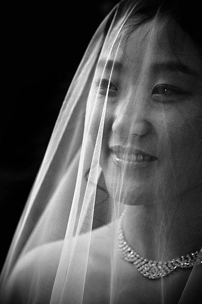 Marriage Renee's Limousine, Minneapolis Minnesota