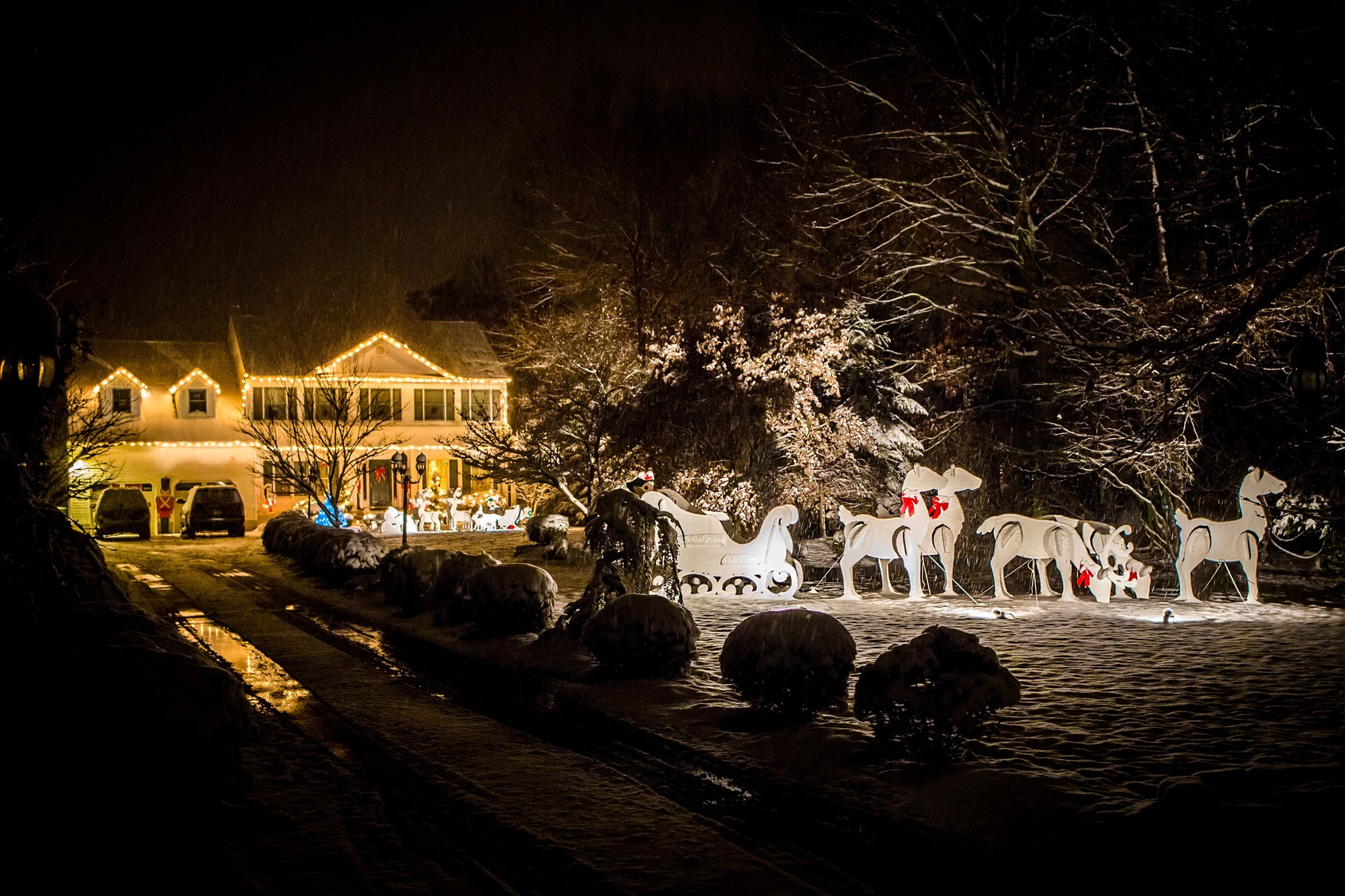 Decorated house for Christmas at night Renee's Limousine, Minneapolis Minnesota