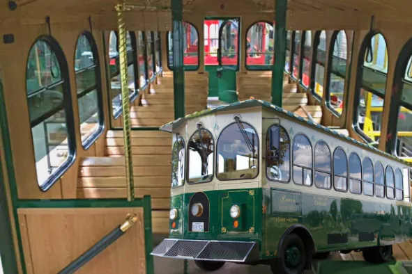 Limo Coaches – 30 Passenger